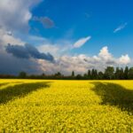 Zatrudnienie pracownika z Ukrainy a składki ZUS